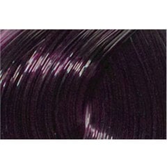 L'ANZA Healing Color 4V (4/7) Dark Violet Brown 60 ml hind ja info | Juuksevärvid | kaup24.ee