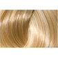 L'ANZA Healing Color 10N (10/0) ​​Very Light Natural Blonde 60 ml цена и информация | Juuksevärvid | kaup24.ee