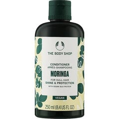 THE BODY SHOP Moringa palsam 250 ml hind ja info | Juuksepalsamid | kaup24.ee