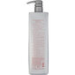 L'ANZA Healing Colorcare Silver Brightening Shampoo 1000 ml hind ja info | Juuksepalsamid | kaup24.ee