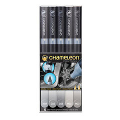 Chameleon, 5 Pen Set Grey Tones цена и информация | Принадлежности для рисования, лепки | kaup24.ee
