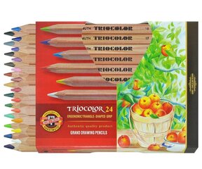 Värvipliiatsite komplekt "TRIOCOLOR" 24tk hind ja info | Kunstitarbed, voolimise tarvikud | kaup24.ee