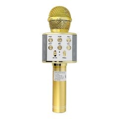 OEM CR58, gold цена и информация | Микрофоны | kaup24.ee