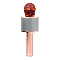 OEM CR58, pink gold цена и информация | Микрофоны | kaup24.ee