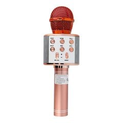 OEM CR58, pink gold цена и информация | Микрофоны | kaup24.ee