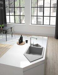 Deante graniidist köögivalamu Deante Hexon ZQP S653, Metallic grey hind ja info | Köögivalamud | kaup24.ee