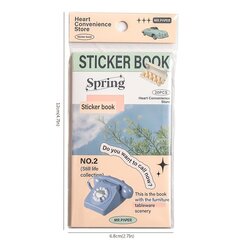 '20 шт. ПЭТ плоские наклейки, 12см6.8см ретро литературная тема DIY декор.' цена и информация | Канцелярские товары | kaup24.ee