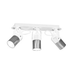 потолочный светильник wilson 4xgu10, белый цена и информация | Потолочные светильники | kaup24.ee