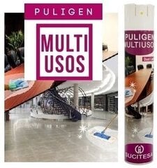 Антистатический очиститель пыли PULIGEN MULTIUSOS SP, 500млх15шт. цена и информация | Очистители | kaup24.ee