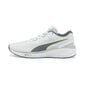 Puma spordijalatsid meestele Aviator Profoam Sky 37661504, valge hind ja info | Spordi- ja vabaajajalatsid meestele | kaup24.ee