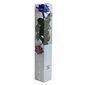 Stabiliseeritud roos Amorosa Premium, sinine hind ja info | Uinuvad roosid, taimed | kaup24.ee