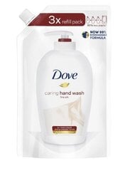 Жидкое мыло DOVE Silk, 750мл, ЭКСТРА цена и информация | Мыло | kaup24.ee