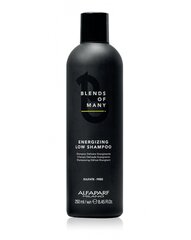 Värskendav šampoon meestele - Alfaparf Milano Blends Of Many Energizing Low Shampoo, 250 ml hind ja info | Šampoonid | kaup24.ee