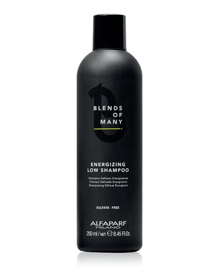 Värskendav šampoon meestele - Alfaparf Milano Blends Of Many Energizing Low Shampoo, 250 ml цена и информация | Šampoonid | kaup24.ee