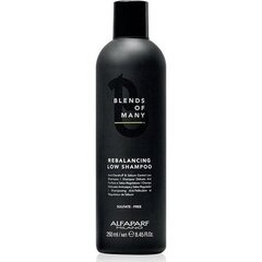 Kõõmavastane šampoon meestele, rasustele juustele - Alfaparf Milano Blends Of Many Rebalancing Low Shampoo, 250 ml hind ja info | Šampoonid | kaup24.ee