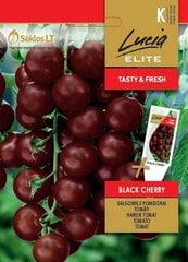 Tomat BLACK CHERRY цена и информация | Семена овощей, ягод | kaup24.ee