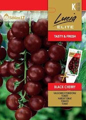 Tomat BLACK CHERRY hind ja info | Köögivilja-, marjaseemned | kaup24.ee