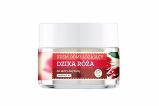 Noorendav päeva- ja öökreem Farmona Herbal Care Wild Rose 50 ml цена и информация | Кремы для лица | kaup24.ee