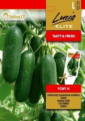 Harilik kurk PONY H цена и информация | Семена овощей, ягод | kaup24.ee