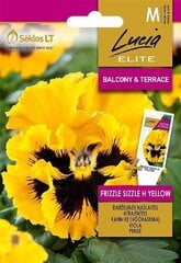 Võõrasema FRIZZLE SIZZLE H YELLOW „LUCIA ELITE” 25 S hind ja info | Lilleseemned | kaup24.ee