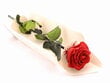 Stabiliseeritud roos Amorosa Premium, Punane цена и информация | Uinuvad roosid, taimed | kaup24.ee