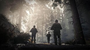 Call of Duty: WW II PS4 hind ja info | Arvutimängud, konsoolimängud | kaup24.ee