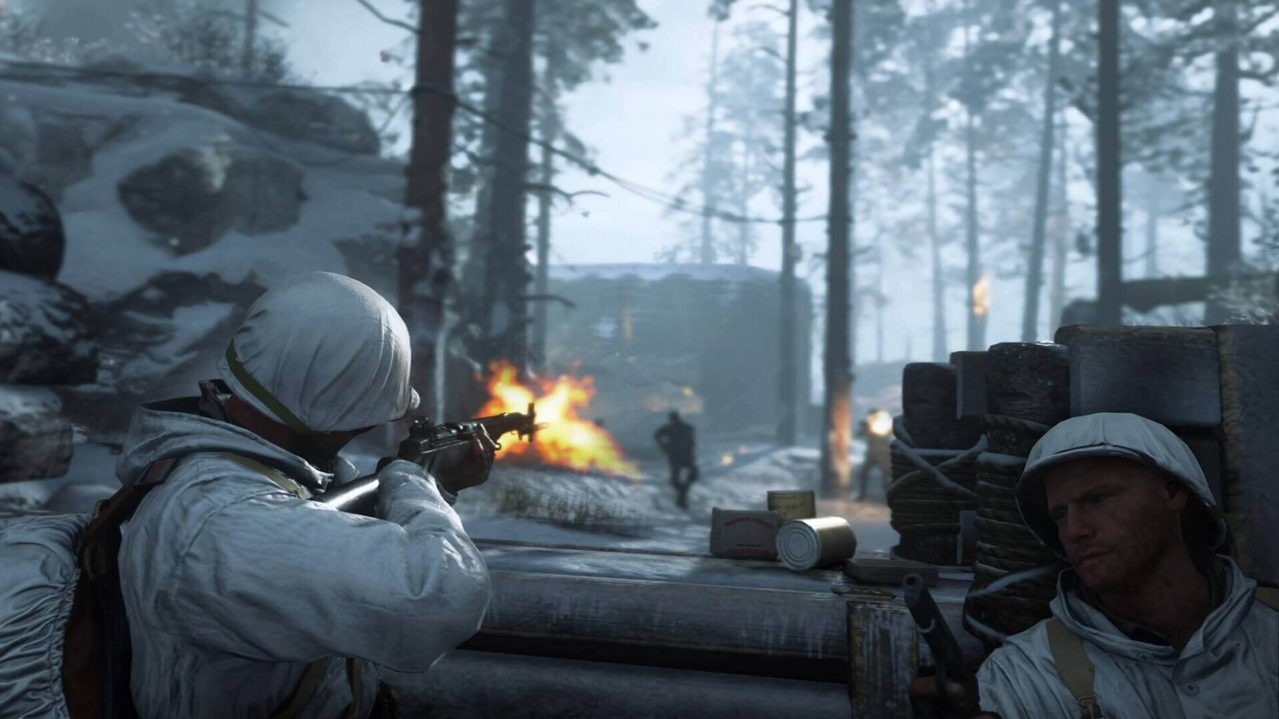 Call of Duty: WW II PS4 hind ja info | Arvutimängud, konsoolimängud | kaup24.ee