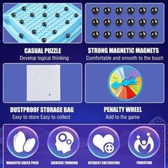 Настольная магнитная игра MAGNETISM цена и информация | Настольные игры, головоломки | kaup24.ee