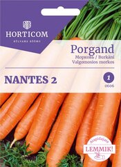 Морковь Nantes 2 5 г цена и информация | Семена овощей, ягод | kaup24.ee