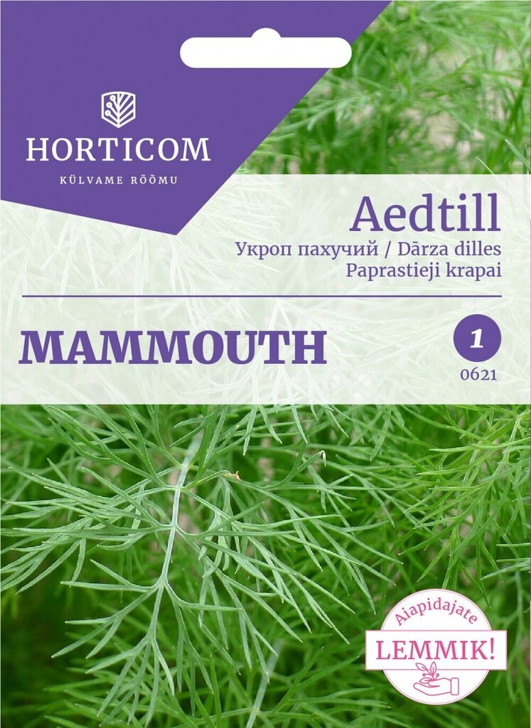 Aedtill Mammouth 5g hind ja info | Maitsetaimede seemned | kaup24.ee