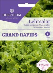 Lehtsalat Grand Rapids 3g hind ja info | Horticom Aiakaubad | kaup24.ee