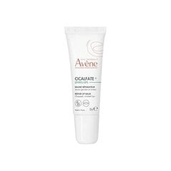 Avène regeneruojantis lūpų balzamas Cicalfate+ (Repair Lip Balm) 10 ml цена и информация | Помады, бальзамы, блеск для губ | kaup24.ee