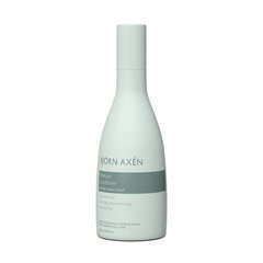 BJORN AXEN Niisutav palsam 250 ml hind ja info | Juuksepalsamid | kaup24.ee