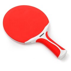 Ракетка для настольного тенниса POINT SCHOOL цена и информация | Ракетки для настольного тенниса, чехлы и наборы | kaup24.ee