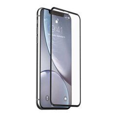 Kaitseklaas Devia Van Entire View Anti-glare telefonile iPhone XR (6.1) 10 tk hind ja info | Ekraani kaitsekiled | kaup24.ee