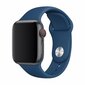 Devia Deluxe Series Sport Band Apple Watch (40mm) jaoks, sinine hind ja info | Nutikellade ja nutivõrude tarvikud | kaup24.ee