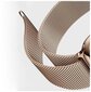 Devia Elegant Series Milanese Loop sobib Apple Watch(40mm), Kuldne цена и информация | Nutikellade ja nutivõrude tarvikud | kaup24.ee