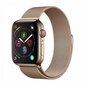 Devia Elegant Series Milanese Loop sobib Apple Watch(40mm), Kuldne цена и информация | Nutikellade ja nutivõrude tarvikud | kaup24.ee