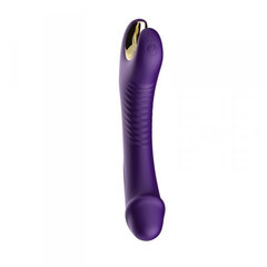 Boss Of Toys Stymulator  silicone 9 vibration function Purple цена и информация | БДСМ и фетиш | kaup24.ee