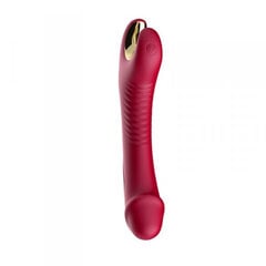 Boss Of Toys Stymulator silicone 9 vibration function Red цена и информация | БДСМ и фетиш | kaup24.ee