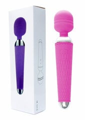 Masseerija Stymulator-Power Massager Wand, lilla hind ja info | BDSM ja fetish | kaup24.ee