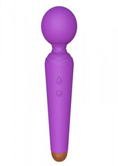 Masseerija Stymulator-Rechargeable Power Wand, lilla hind ja info | BDSM ja fetish | kaup24.ee