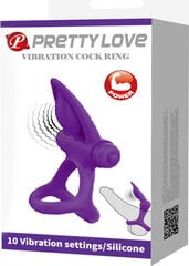 Lybaile Pretty Love Vibrating Cock Ring Purple цена и информация | БДСМ и фетиш | kaup24.ee