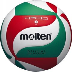 Волейбольный мяч MOLTEN V4M4500, размер 4 цена и информация | Molten Сетевой | kaup24.ee