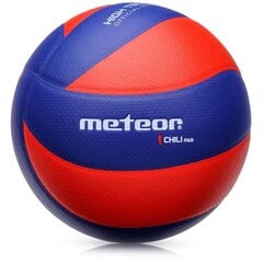 Võrkpall METEOR CHILI R&B, suurus 5 цена и информация | Волейбольные мячи | kaup24.ee