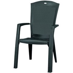 Tool Allibert Minnesota цена и информация | Садовые стулья, кресла, пуфы | kaup24.ee