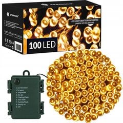 Garlianda 100 LED 10m, valge цена и информация | Гирлянды | kaup24.ee