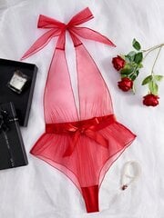 Seksikas võrgust body Valentine's Day Collection·Punane цена и информация | Сексуальное женское белье | kaup24.ee