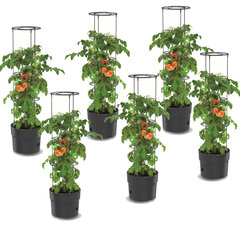 6x pott tomatite istutamiseks 18 L köögiviljakasvatus oad kurgid maasikad 35 cm цена и информация | Вазоны для рассады и пересадки | kaup24.ee