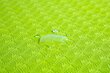 Treeningmatt Zipro TPE 183x61x0,6 cm, roheline hind ja info | Joogamatid | kaup24.ee